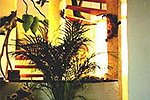Casa del Sol